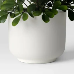 Herb Artificial Plant In White Pot - Room Essentials™ 12 Herb Artificial Plant In White Pot - Room Essentials™ -Room Essentials GUEST 043f6992 31be 4448 9e3f 725db59349e3
