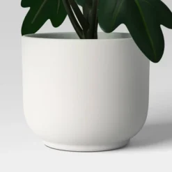 Core Plant Multipack In White Pot - Room Essentials™ -Room Essentials GUEST 23f0793d e482 4654 8d9f f43140e8c4d5
