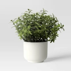 Herb Artificial Plant In White Pot - Room Essentials™ 10 Herb Artificial Plant In White Pot - Room Essentials™ -Room Essentials GUEST 2fa8710c 5d5b 4f47 9af2 64f0071f7c52