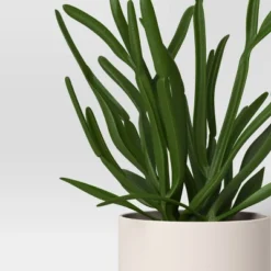 3pk 7.87" Monstera Artificial Plants - Room Essentials™ 9 3pk 7.87" Monstera Artificial Plants - Room Essentials™ -Room Essentials GUEST 42aa6e1e 871f 45b2 8f95 a0bff9cd21df