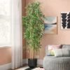 Faux Bamboo Artificial Tree Green - Room Essentials™ 2 Faux Bamboo Artificial Tree Green - Room Essentials™ -Room Essentials GUEST 54419057 fb15 4545 8656 a8812c23c41e