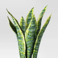 Snake Artificial Potted Plant - Room Essentials™ 6 Snake Artificial Potted Plant - Room Essentials™ -Room Essentials GUEST 599d0db2 b2f3 4a18 83d9 28e08d5555d4