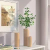 3pc Vase Set Ceramic Cylinder - Room Essentials™ 1 3pc Vase Set Ceramic Cylinder - Room Essentials™ -Room Essentials GUEST 85f043b3 4c1a 4d42 b238 0c0df0bc0068