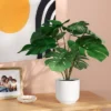 8"x9" Monstera Artificial Plant - Room Essentials™ -Room Essentials GUEST 888d41f0 4a82 4bff aa8f b7f6b00320e7