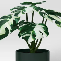 3pk 7.87" Monstera Artificial Plants - Room Essentials™ 8 3pk 7.87" Monstera Artificial Plants - Room Essentials™ -Room Essentials GUEST b353e242 fcb5 4c4c affc ddf91298a192