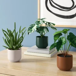 3pk 7.87" Monstera Artificial Plants - Room Essentialsā¢