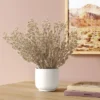 Tan Grass Mini Arrangement - Room Essentials™ 1 Tan Grass Mini Arrangement - Room Essentials™ -Room Essentials GUEST c048d3ec bab0 4872 ae9f b4c84c434499