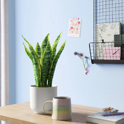 Snake Artificial Potted Plant - Room Essentials™ 3 Snake Artificial Potted Plant - Room Essentials™