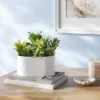 Succulent Arrangement In Long White Pot - Room Essentials™ 1 Succulent Arrangement In Long White Pot - Room Essentials™ -Room Essentials GUEST cf94ab3b c7fa 4739 9eac c316a3823e4f