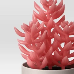 3pk 8.86" Succulent Artificial Plants Multicolor - Room Essentials™ 9 3pk 8.86" Succulent Artificial Plants Multicolor - Room Essentials™ -Room Essentials GUEST cfa72693 81b2 4c35 87ab 78b388b04202