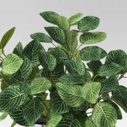 Mosaic Artificial Leaf In White Pot - Room Essentials™ -Room Essentials GUEST eff95394 7778 4a1f b32c 7a27066f6eb5