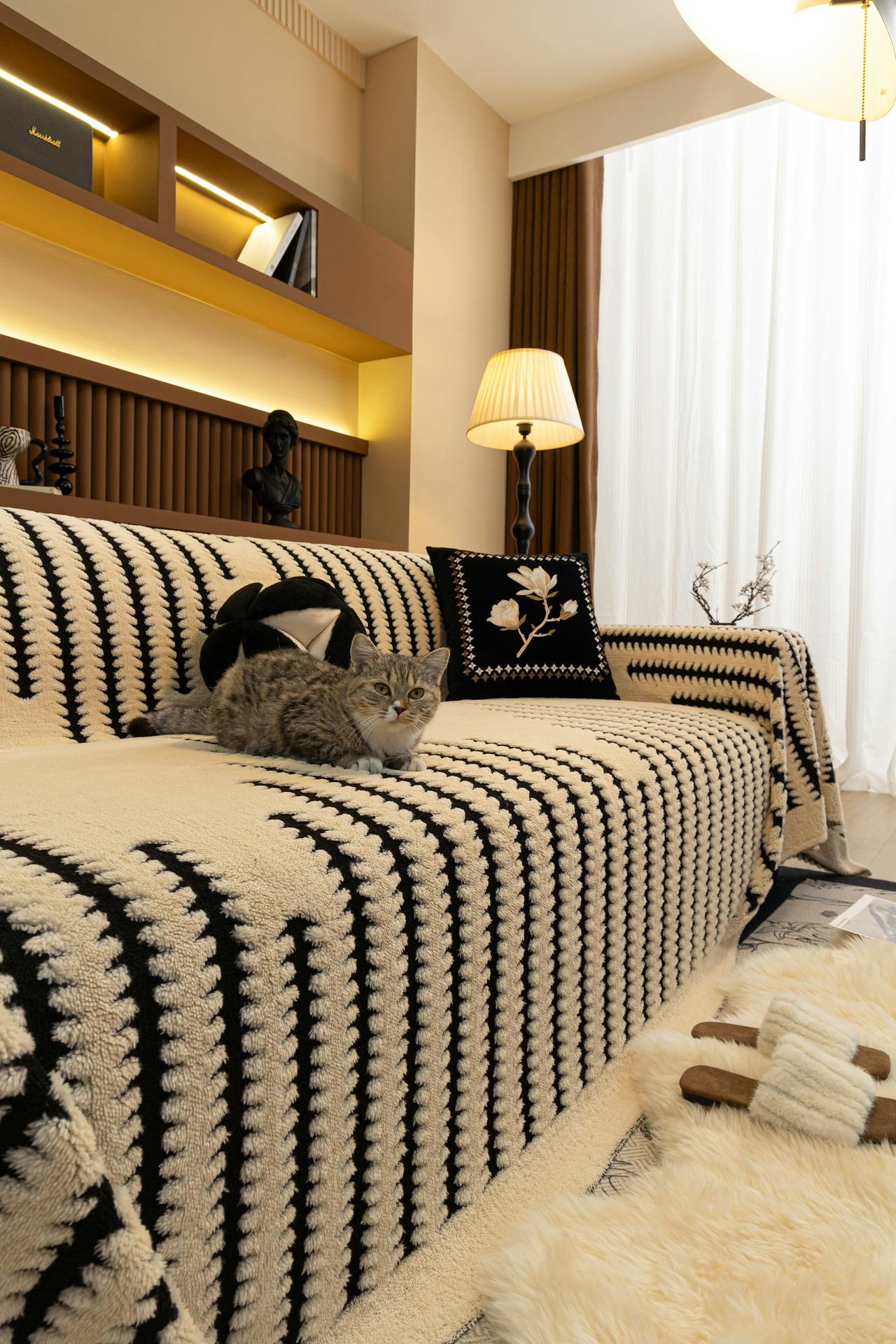 Room Essentials -Room Essentials pexels slipcoverkas 30759407